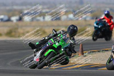 media/Feb-04-2023-SoCal Trackdays (Sat) [[8a776bf2c3]]/Turn 11 (945am)/